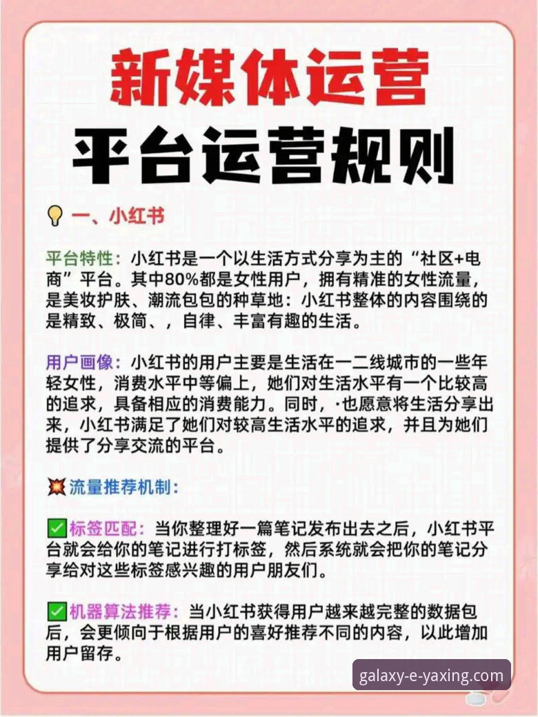 亚星娱乐平台全方位使用教程：从下载到账户管理操作指南