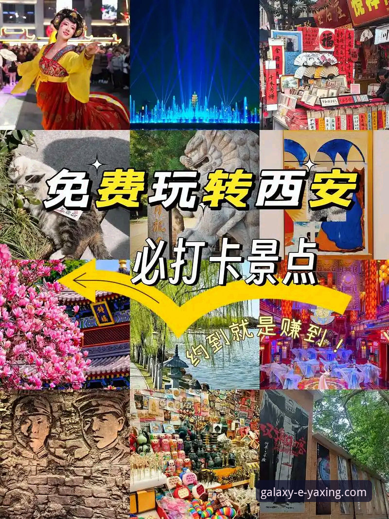 亚星娱乐iOS版下载问题vs安卓版：哪个更适合你？全面对比解决指南